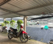 Chính chủ cần bán gấp 8 ao nuôi tôm tại xã vĩnh trạch đông - tp.bạc liêu - tỉnh bạc liêu.