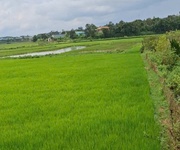 1 Cần bán gấp lô đất homstay - vị trí tại : đường ngô quyền -  phường pleiku - tỉnh gia lai