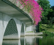 bán gấp 148m đất văn giang, 300m ra kđt ecopark. mt đẹp 8.4m. ô tô tránh, vào nhà. chỉ hơn 5 tỷ