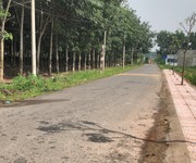 Bán mặt tiền nhựa liên ấp, gần ngã tư gia vĩnh, an viễn, đồng nai