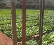Hạ giá kịch sàn - bán gần 5000m2 hiệp an - giảm 5 tỷ