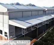 4 Chính Chủ Gửi Bán 1ha Đất Skc   Long Tân, Dầu Tiếng   Gần Khu Dân Cư, Dễ Phát Triển
