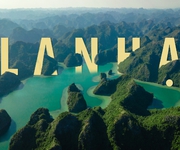 Bán ĐẤT THỔ CƯ FULL SỔ ĐỎ Đường Cái Bèo, Trung tâm Thị trấn Cát Bà, vị trí đắc địa 300m2