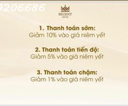 2 Mở bán căn hộ regent house đường trần hưng đạo-tb.chiết khấu đến 15.cam kết thuê lại