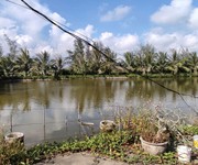 Bán lô đất trang trại 5000m2 tại huyện kiến thụy, hải phòng, phù hợp phát triển mô hình nông