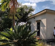 1 Bán lô đất trang trại 5000m2 tại huyện kiến thụy, hải phòng, phù hợp phát triển mô hình nông 1 Bán lô đất trang trại 5000m2 tại huyện kiến thụy, hải phòng, phù hợp phát triển mô hình nông