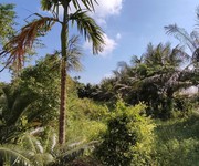 3 Bán lô đất trang trại 5000m2 tại huyện kiến thụy, hải phòng, phù hợp phát triển mô hình nông 3 Bán lô đất trang trại 5000m2 tại huyện kiến thụy, hải phòng, phù hợp phát triển mô hình nông