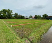3 Chính chủ bán lô đất 1000m2 giá siêu tốt tại bàu sen, đức hòa, long an