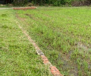4 Chính chủ bán lô đất 1000m2 giá siêu tốt tại bàu sen, đức hòa, long an