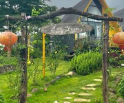 Nhanh Tay Đầu Tư Sinh Lời Đất Bảo Lộc 6 Triệu/M