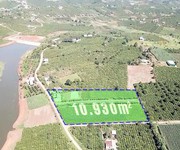 1 Giảm mạnh 1 tỷ  1.1ha đất lô góc, đường 12m   xã phúc thọ lđ