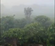 2 Giảm mạnh 1 tỷ  1.1ha đất lô góc, đường 12m   xã phúc thọ lđ