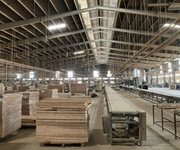 3 Cho thuê nhà xưởng 13200m2 giá chỉ 1,1 tỷ cụm cn tân an, vĩnh cửu, đồng nai