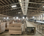 4 Cho thuê nhà xưởng 13200m2 giá chỉ 1,1 tỷ cụm cn tân an, vĩnh cửu, đồng nai