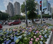 1 Bán đảo linh đàm- hoàng mai- view hồ linh đàm, nhỉnh 14t.ỷ