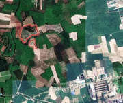 4 Đất tân biên, tây ninh  80.000m2  8 ha  đã có sẵn  45.000m2 đất skc