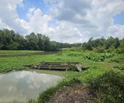 4 Chính chủ bán 5592m2 đất mặt tiền đt 748   view sông thị tính tại an điền, bến cát, bình dương