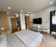 5 Cho thuê căn hộ 1 ngủ Studio  35m2  Waterfront City.