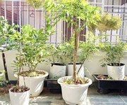 2 Đồng mai hà đông - chính chủ cần bán nhà gấp . dt 34m2 5 tầng full nội thất. chỉ 4ty12
