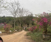 1 Bán 18858.8m2 đất nghỉ dưỡng view đẹp Thanh Thủy, Phú Thọ. Giá 1tr/m2