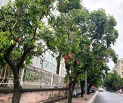 3 Bán nhà mt hoàng kim giao p5q8, giá : 17 tỷ  tl