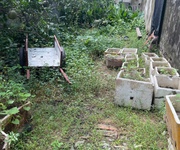 Vĩnh quỳnh 9.45 tỉ đất