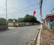 3 Hàng fo cực hiếm 554m tại tân tiến-chương mỹ-hà nội