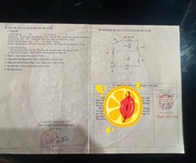 4 Hàng fo cực hiếm 554m tại tân tiến-chương mỹ-hà nội
