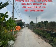 Chính chủ cần bán gấp 2 lô đất  hẻm 847 đường đồng khởi, phường tân phong  cũ   tp. biên hòa, đồng