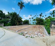 3 Tuyến 2 Đường 203, Ngay Chợ Hoa Động, Đường Thông 3 Tuyến 2 Đường 203, Ngay Chợ Hoa Động, Đường Thông