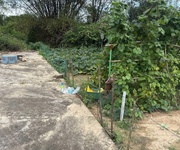 2 Chủ kẹt tiền cần bán gấp 9 lô liền lề giá 11,5ty thương lượng 2 Chủ kẹt tiền cần bán gấp 9 lô liền lề giá 11,5ty thương lượng