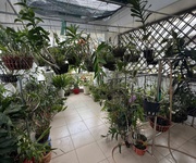 B.án Nhà Hẻm Xe Hơi, Lê Trọng Tấn 56 m2, 5 Tầng, 5 pn, 5 wc, Tây Thạnh, Tân Phú