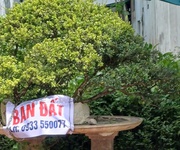 Chính chủ Bán đất mặt tiền khu Thanh Niên, Diện tích 118 m2 Giá chỉ hơn 2 tỷ.
