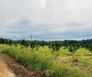 2  bán gấp lô đất giá chỉ 290 triệu 