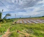 1 Bán 2.4 hecta đất tân hải - tx lagi giá ngộp 120  triệu/ sào