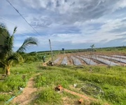 2 Bán 2.4 hecta đất tân hải - tx lagi giá ngộp 120  triệu/ sào