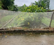 1 Bán lô đất trục chính kinh doanh xã thư phú - thường tín giá nhỉnh 3 tỷ dt 55,6m2 - mt   ms: 3.69m 1 Bán lô đất trục chính kinh doanh xã thư phú - thường tín giá nhỉnh 3 tỷ dt 55,6m2 - mt   ms: 3.69m