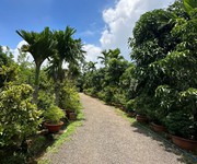 4 Bán 12.000m2 đất, xã suối rao, bà rịa vũng tàu, tặng nhà vườn, giá chỉ 14,9 tỷ