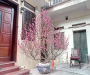 Cho thuê Phòng Trọ tại  Minh Khai- Mai Động Cho thuê Phòng Trọ tại  Minh Khai- Mai Động