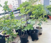 4 Thiết kế hiện đại   sát mt thoại ngọc hầu tân phú   gần 90m2   ngang 5.5m   nhỉnh 14