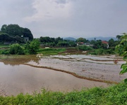 3 Chính chủ cần bán  2,5 ha đất bám suối view siêu đep tại lương sơn   phú thọ