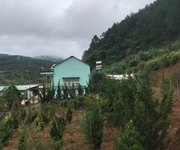 Chính chủ cần bán 1000m2 nn tà nung đà lạt - 1.3 tỷ