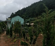 1 Chính chủ cần bán 1000m2 nn tà nung đà lạt - 1.3 tỷ 1 Chính chủ cần bán 1000m2 nn tà nung đà lạt - 1.3 tỷ