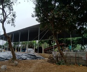 6 Cho thuê hơn 2ha đất trang trại, kho xưởng, du lịch gần hồ Kỳ Viên xã Trần Phú, Chương Mỹ, Hà Nội. 6 Cho thuê hơn 2ha đất trang trại, kho xưởng, du lịch gần hồ Kỳ Viên xã Trần Phú, Chương Mỹ, Hà Nội.