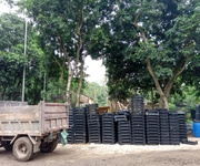 8 Cho thuê hơn 2ha đất trang trại, kho xưởng, du lịch gần hồ Kỳ Viên xã Trần Phú, Chương Mỹ, Hà Nội. 8 Cho thuê hơn 2ha đất trang trại, kho xưởng, du lịch gần hồ Kỳ Viên xã Trần Phú, Chương Mỹ, Hà Nội.