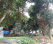 12 Cho thuê hơn 2ha đất trang trại, kho xưởng, du lịch gần hồ Kỳ Viên xã Trần Phú, Chương Mỹ, Hà Nội. 12 Cho thuê hơn 2ha đất trang trại, kho xưởng, du lịch gần hồ Kỳ Viên xã Trần Phú, Chương Mỹ, Hà Nội.