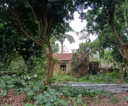 13 Cho thuê hơn 2ha đất trang trại, kho xưởng, du lịch gần hồ Kỳ Viên xã Trần Phú, Chương Mỹ, Hà Nội. 13 Cho thuê hơn 2ha đất trang trại, kho xưởng, du lịch gần hồ Kỳ Viên xã Trần Phú, Chương Mỹ, Hà Nội.