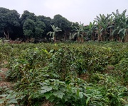 14 Cho thuê hơn 2ha đất trang trại, kho xưởng, du lịch gần hồ Kỳ Viên xã Trần Phú, Chương Mỹ, Hà Nội. 14 Cho thuê hơn 2ha đất trang trại, kho xưởng, du lịch gần hồ Kỳ Viên xã Trần Phú, Chương Mỹ, Hà Nội.