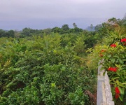 3 Siêu phẩm 5105m tại thành lập-lương sơn-hòa bình