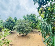 6 Cần bán gấp nhà, đất, vườn 2715m2 - đối diện KCN Đất Đỏ, gần biển, chợ, trường học